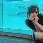 ヒメ日記 2025/04/17 19:02 投稿 唐沢ひめの 京都ホットポイント