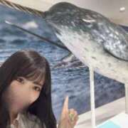 ヒメ日記 2025/05/11 12:45 投稿 唐沢ひめの 京都ホットポイント