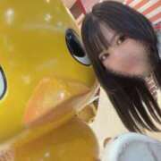 ヒメ日記 2025/07/02 08:36 投稿 唐沢ひめの 京都ホットポイント