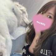 ヒメ日記 2025/09/23 16:09 投稿 唐沢ひめの 京都ホットポイント