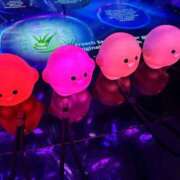 ヒメ日記 2025/10/01 16:01 投稿 唐沢ひめの 京都ホットポイント