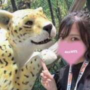 ヒメ日記 2025/10/02 12:45 投稿 唐沢ひめの 京都ホットポイント