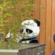 ヒメ日記 2025/10/03 00:30 投稿 唐沢ひめの 京都ホットポイント