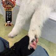 ヒメ日記 2025/10/05 00:15 投稿 唐沢ひめの 京都ホットポイント