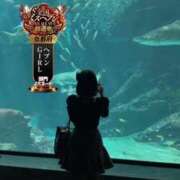 ヒメ日記 2025/10/06 09:15 投稿 唐沢ひめの 京都ホットポイント