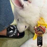 ヒメ日記 2025/10/07 09:15 投稿 唐沢ひめの 京都ホットポイント