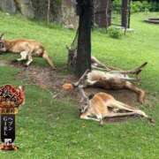 ヒメ日記 2025/10/17 23:45 投稿 唐沢ひめの 京都ホットポイント