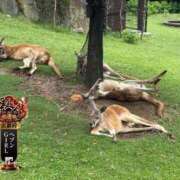 ヒメ日記 2025/10/18 00:16 投稿 唐沢ひめの 京都ホットポイント