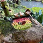 ヒメ日記 2025/10/19 23:49 投稿 唐沢ひめの 京都ホットポイント