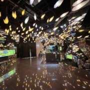 ヒメ日記 2025/10/20 23:46 投稿 唐沢ひめの 京都ホットポイント