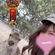 ヒメ日記 2025/11/23 19:42 投稿 唐沢ひめの 京都ホットポイント