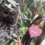 ヒメ日記 2025/11/27 17:01 投稿 唐沢ひめの 京都ホットポイント