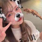 ヒメ日記 2025/12/28 12:31 投稿 唐沢ひめの 京都ホットポイント