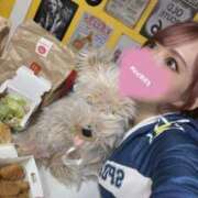 ヒメ日記 2026/03/07 00:01 投稿 唐沢ひめの 京都ホットポイント