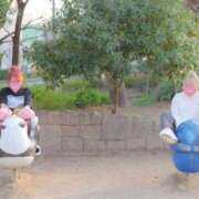 ヒメ日記 2026/03/13 12:06 投稿 唐沢ひめの 京都ホットポイント