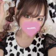 ヒメ日記 2026/04/13 23:15 投稿 唐沢ひめの 京都ホットポイント