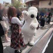 ヒメ日記 2026/04/19 08:45 投稿 唐沢ひめの 京都ホットポイント