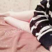 ヒメ日記 2025/02/18 20:19 投稿 小高　いつき 京都ホットポイント