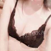 ヒメ日記 2025/04/23 19:45 投稿 小高　いつき 京都ホットポイント