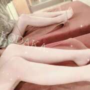 ヒメ日記 2025/04/26 07:28 投稿 小高　いつき 京都ホットポイント