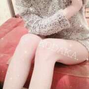 ヒメ日記 2025/04/29 10:03 投稿 小高　いつき 京都ホットポイント