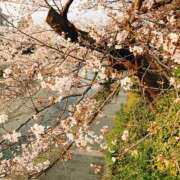 ヒメ日記 2026/03/29 17:33 投稿 小高　いつき 京都ホットポイント