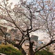 ヒメ日記 2026/04/01 20:29 投稿 小高　いつき 京都ホットポイント