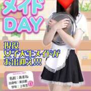 ヒメ日記 2025/03/04 02:44 投稿 さえこ non-non 神田(ノンノン神田)