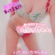 ヒメ日記 2025/07/28 20:38 投稿 紗奈（さな） 女々艶 大和店