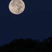 ヒメ日記 2025/02/15 07:21 投稿 月神　未来 ホットポイントヴィラ