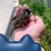 ヒメ日記 2025/05/04 14:07 投稿 月神　未来 ホットポイントヴィラ