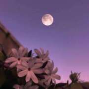 ヒメ日記 2025/05/10 07:06 投稿 月神　未来 ホットポイントヴィラ