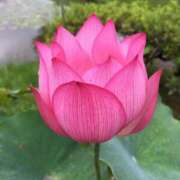 ヒメ日記 2025/05/28 16:02 投稿 月神　未来 ホットポイントヴィラ