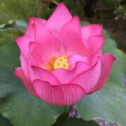 ヒメ日記 2025/08/04 17:54 投稿 月神　未来 ホットポイントヴィラ