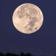 ヒメ日記 2025/09/26 13:21 投稿 月神　未来 ホットポイントヴィラ