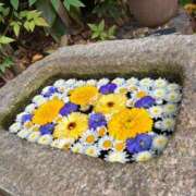 ヒメ日記 2025/05/29 16:30 投稿 ナズナ リッチドールなんば店