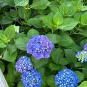 ヒメ日記 2025/06/05 16:06 投稿 ナズナ リッチドールなんば店