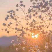 ナズナ ごめんなさい リッチドールなんば店