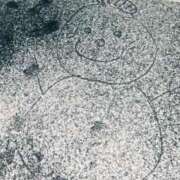 ヒメ日記 2026/02/27 06:16 投稿 ナズナ リッチドールなんば店