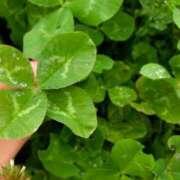 ヒメ日記 2025/02/23 16:44 投稿 リコ リッチドールなんば店