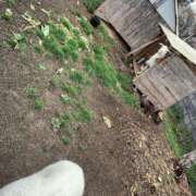 ヒメ日記 2025/03/11 10:06 投稿 リコ リッチドールなんば店