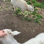 ヒメ日記 2025/03/18 09:12 投稿 リコ リッチドールなんば店