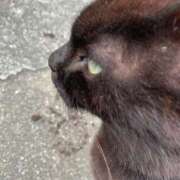 ヒメ日記 2025/03/20 19:17 投稿 リコ リッチドールなんば店