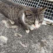 ヒメ日記 2025/03/26 14:27 投稿 リコ リッチドールなんば店