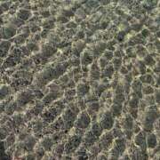 ヒメ日記 2025/06/08 15:06 投稿 リコ リッチドールなんば店