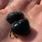 ヒメ日記 2025/06/15 10:46 投稿 リコ リッチドールなんば店