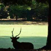 ヒメ日記 2025/09/15 12:56 投稿 リコ リッチドールなんば店