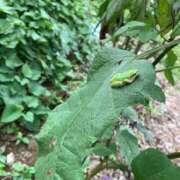 ヒメ日記 2025/10/03 12:26 投稿 リコ リッチドールなんば店