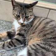 ヒメ日記 2025/10/04 12:56 投稿 リコ リッチドールなんば店