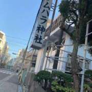 ヒメ日記 2025/11/08 07:56 投稿 リコ リッチドールなんば店